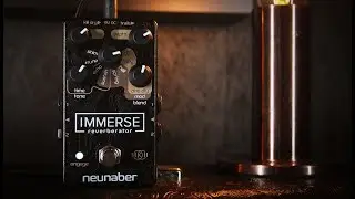 Neunaber Immerse Reverberator MkII - Stereo Demo (Use Headphones)