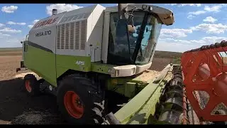 Комбайн CLAAS MEGA 370. Начало уборки озимой пшеницы.