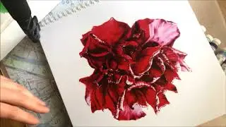 Watercolor Tulip./ Рисуем тюльпан акварелью. Запись прямого эфира