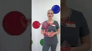 CERVICAL CONIZATION. Explained by Borisova DA, surgeon at the VIP Academy Clinic. ☎️ (831) 270-00-00