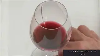 Verre à vin L'Exploreur Oenologie - L'Atelier du Vin
