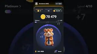 #hamsterkombat #hamsters