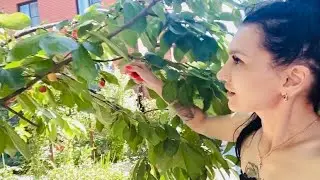 ЖИЗНЕННЫЕ ПЕРЕМЕНЫ | БУДНИ МАМЫ | ДОМ В ДЕРЕВНЕ | ВЛОГ