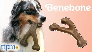 Is Your Dog a Big Chewer? Introducing the Wishbone Dog Chew Toy from Benebone!