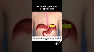 Главная причина ИЗЖОГИ, ОТРЫЖКИ, ГЭРБ, рефлюксов. Этого не расскажет ни один врач!