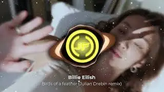 (HOUSE) Billie Eilish - Birds of a feather (Julian Drebin remix)