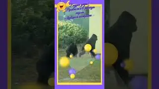 Просто врываемся в рабочую неделю!