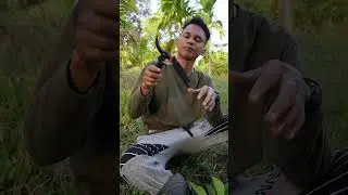 Gunting dahan sangat tajam