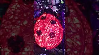 Magiczny Botaniczny – Park Iluminacji w Ogrodzie Botanicznym Warszawa