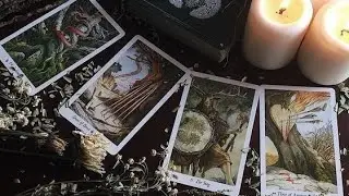 Ритуалы на картах таро. 