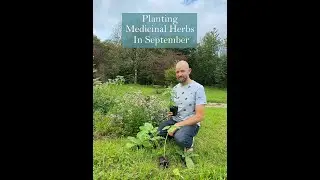 Ross speaks about September 'Planting In' from the Ivywood Herb Nursery & Gardens