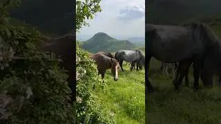 Привет из гор