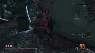 Sekiro NG+4 farming 20k XP per minute