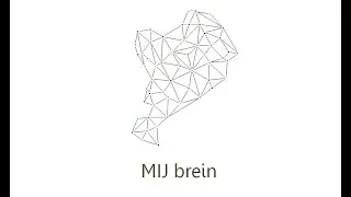 MIJ-brein 2020-01-20 RWS