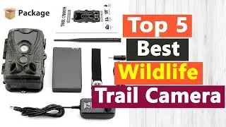 Top 5 Best Wildlife Trail Camera In 2021