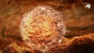 ُSperm Mucizesi