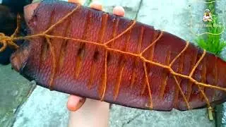 🛑How to smoke beaver tail? Smoked beaver.