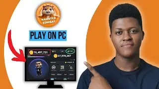 How To Play Hamster Kombat on PC (2024)
