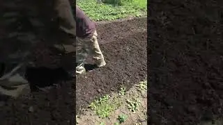 Активные роторы своими руками испытание