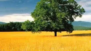 Он Воскрес! Детский христианский стих