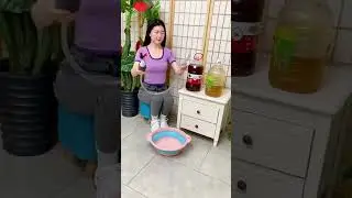 NEW Gadgets World 🎉 Smart Appliances Tool/Utensils for Every Home 💖Tik Tok China