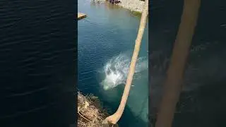 Best jump