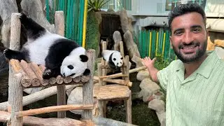 Life Main First Time PANDA Dekha😍