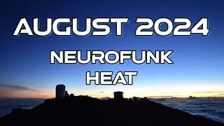 August 2024 Neurofunk Heat