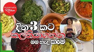 දින 3 කට කල් තියාගන්න මා හැදූ කෑම - Episode 997 - Meal Prep for 3 days