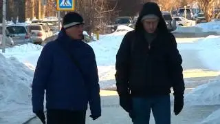 алкота
