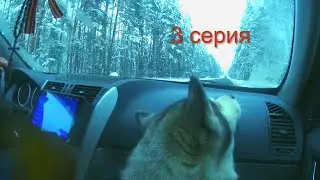 Жерлицы по Первому Льду.Ну вот и домой!ИтоГ 10 ЩуК