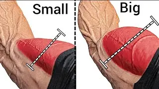 6 exercise Get Bigger Biceps 💪