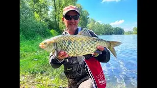 A pighi con feeder in movimento tecnica tre ami