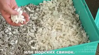 Фокусы и советы-идеальная кровать для твоего питомца