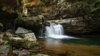 Escape to Nature's Oasis A Relaxing Spring Serenade