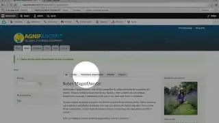 257. How to translate content into multiple languages