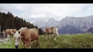 Discover Tyrol, Austria