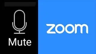 3 Easy methods to mute or unmute Zoom Meeting?