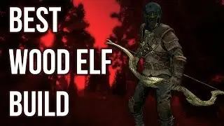 The Archer - Best Wood Elf Build - Skyrim Builds