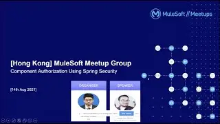 Component Authorization Using Spring Security.    