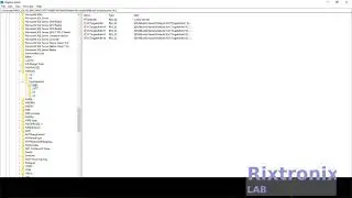 Fixing Delphi Registry Can not load project Easy