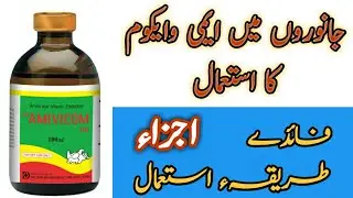 AMIVICOM | Energy Booster| ایمی وایکوم کا جانوروں میں استعمال اس میں موجود اجزاء اور اس کے فائدے