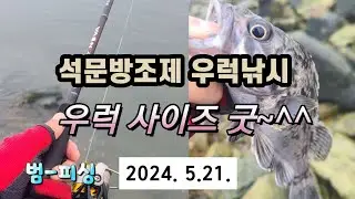 석문방조제 우럭낚시 이제  큰우럭도 나오네요~