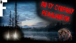 ПО ТУ СТОРОНУ РЕАЛЬНОСТИ! Страшные Истории На Ночь!