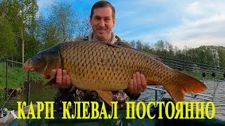 I fed the boilies and CARP pecked day and night CONSTANTLY!