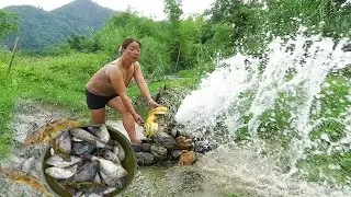 Bamboo house HT:The machine vacuumed a 4 m wide puddle of stream water and caught 5 kg of fish