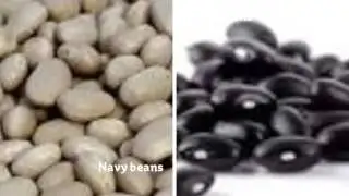 My Stupeflix Video