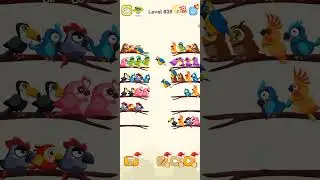 Bird Sort color Level 839