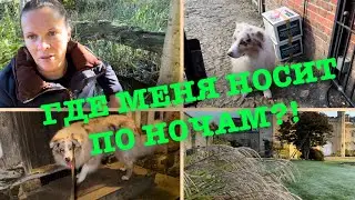 Кто главный добытчик?/Лицо компании/Вес уходит!/В холодильнике нет места еде
