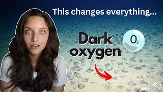 Scientists discover new DARK OXYGEN! Groundbreaking research